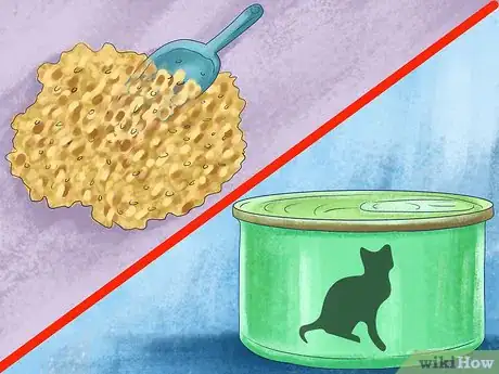 Image titled Spot Feline Diabetes Step 13