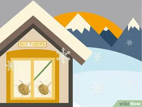 Image titled Plant Begonia Bulbs Step 01