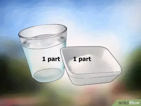 Image titled Buy Honey Bees Step 7