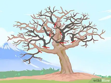 Image titled Prune Old Apple Trees Step 6