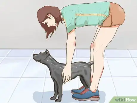 Image titled Do Yoga with Your Dog Step 6