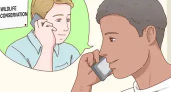 Care for a Baby Wild Rabbit