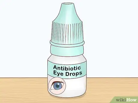 Image titled Diagnose and Treat Chlamydiosis in Cats Step 10