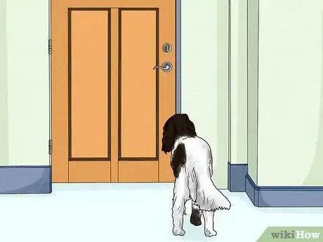 Image titled Identify a German Longhaired Pointer Step 11