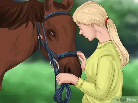Image titled Choose a Horse for Therapeutic Riding Step 5