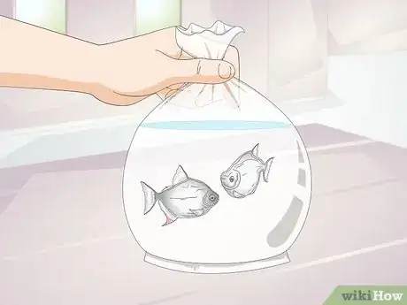 Image titled Have a Low Budget Fish Tank Step 7