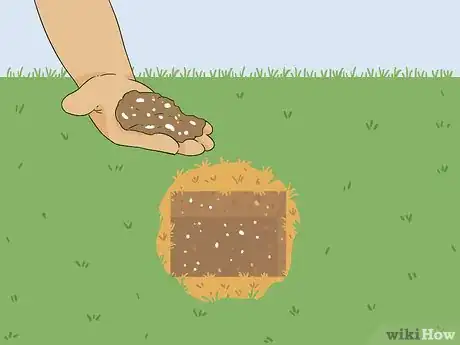 Image titled Bring Back Dead Grass Step 2