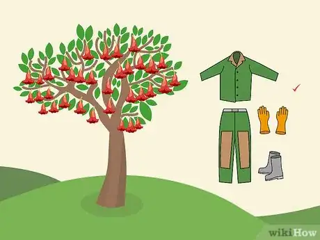 Image titled Prune Brugmansia Step 15