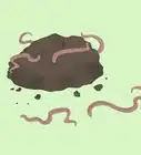 Prepare Vermicompost