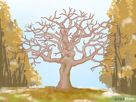 Image titled Prune Old Apple Trees Step 2