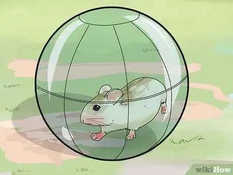 Image titled Travel With a Small Pet Step 19