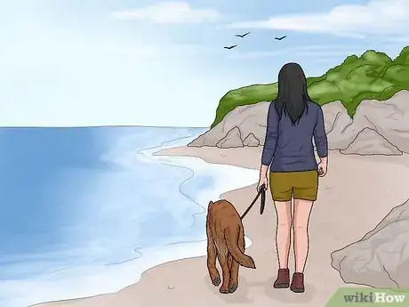 Image titled Hang Out with Your Dog Step 9