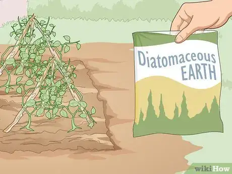 Image titled Use Organic Pesticides for Gardening Step 6