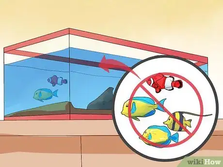 Image titled Make Your Fish Live Longer Step 13