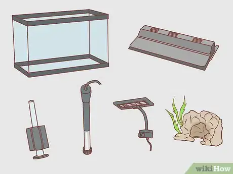 Image titled Find Compatible Tank Mates for Guppies Step 14