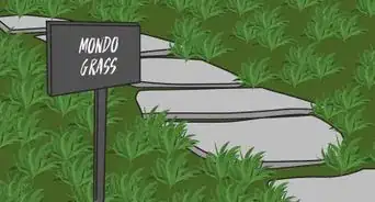 Choose Ground Cover Plants