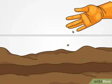 Image titled Grow Vegetables in the Midwest Step 16