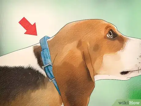 Image titled Protect Dogs from Poisonous Insects Step 12