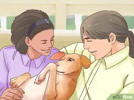 Image titled Introduce Your Dog to Your Partner Step 5