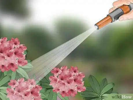 Image titled Control Lace Bugs in Your Flower Garden Step 1