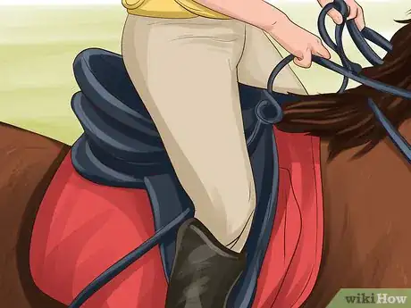 Image titled Choose a Horse for Therapeutic Riding Step 9