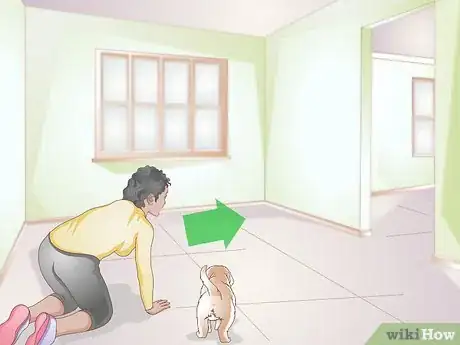 Image titled Get to Know Your Puppy Step 4