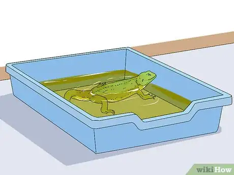 Image titled Give a Lizard a Bath Step 13