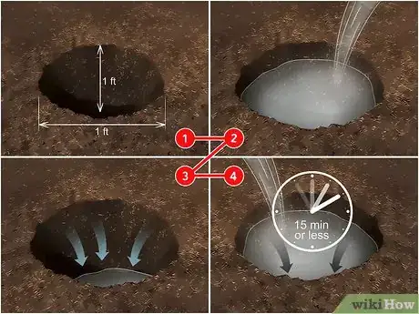 Image titled Grow African Daisy (Arctotis) Step 2
