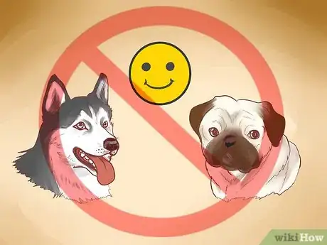 Image titled Find a Good Guard Dog Step 5