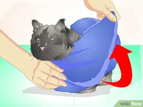 Image titled Deliver Oral Medication to Cats Step 7