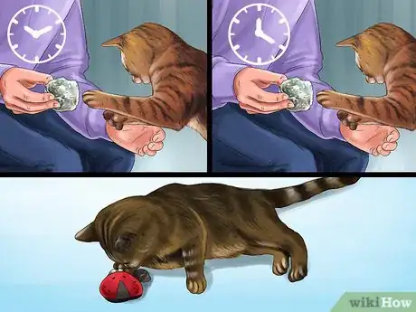 Image titled Deal with Stress‐Related Skin Problems in Cats Step 8