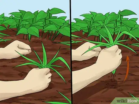 Image titled Create Tree Flower Beds Step 16