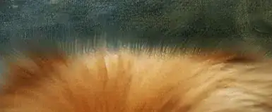 Image titled Blending in the subject and background.png