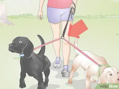 Image titled Choose a Dog Leash Step 9
