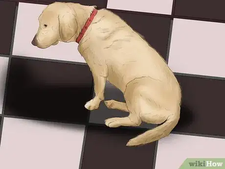 Image titled Diagnose Osteochondrosis Dissecans in Rottweilers Step 1