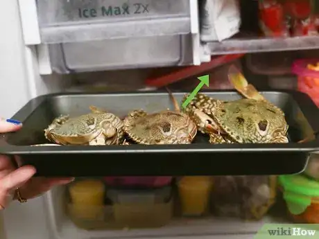 Image titled Cook a Crab Step 1