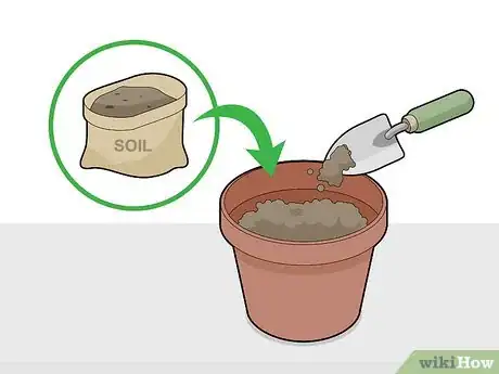 Image titled Grow Chocolate Indoors Step 7