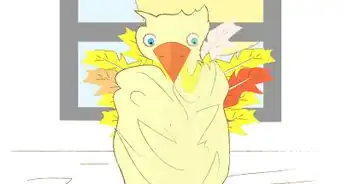 Make a Papier Mâché Bird