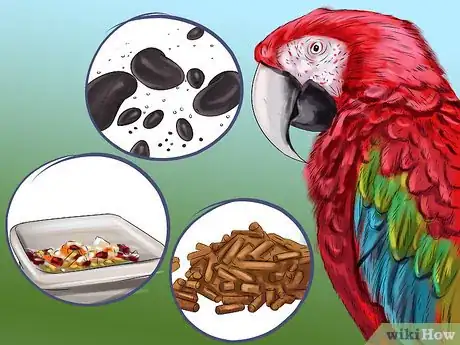 Image titled Stop a Greenwing Macaw from Biting Step 4