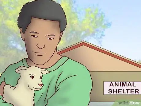 Image titled Convince Your Parents to Let You Become a Dog Walker Step 2