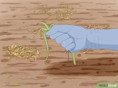 Image titled Grow a Spring Garden Step 4