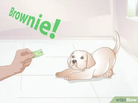 Image titled Get to Know Your Puppy Step 6