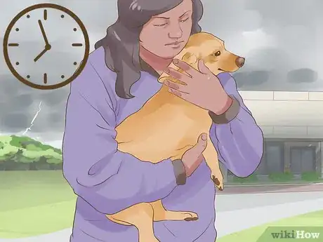 Image titled Include Your Dog in an Emergency Disaster Plan Step 8