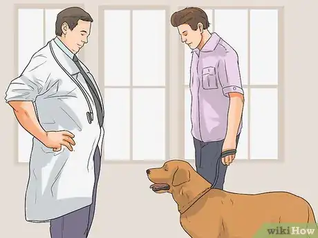 Image titled Diagnose Cataracts in Labrador Retrievers Step 6