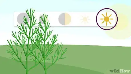Image titled Grow Dill Step 1