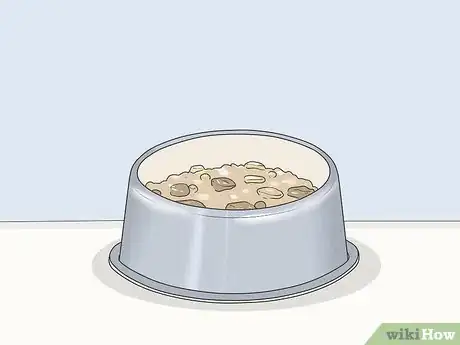 Image titled Treat Giardia in Dogs Step 7