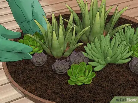 Image titled Create a Dish Garden Step 10