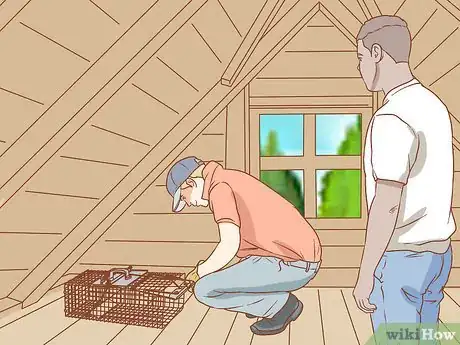 Image titled Get Rid of Squirrels in the Attic Step 11