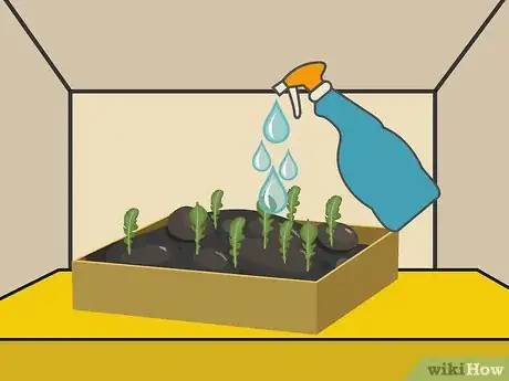 Image titled Plant Arugula Step 15