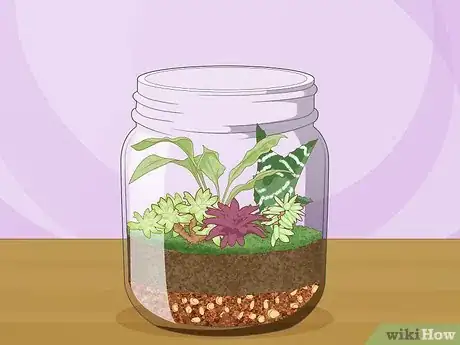 Image titled Create Humidity for Indoor Plants Step 16